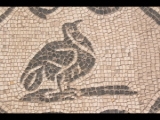 06566 ostia - regio iv - insula v - schola del traiano (iv,v,15) and domus (iv,v,16) - raum p - mosaik - detail - vogel.jpg